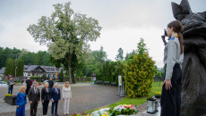Img 9846