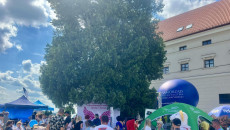 stoisko urzędu podczas uroczystości w Sandomierzu