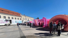 V Piknik Zdrowia