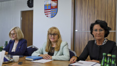 Posiedzenie Komisji Zdrowia, Polityki Społecznej i Spraw Rodziny