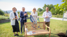 Jubileuszowy platan „Gustaw” upamiętnił 80 lat Pedagogicznej Biblioteki Wojewódzkiej