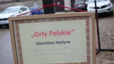 Foto Nr 13 Autor M. Bąk