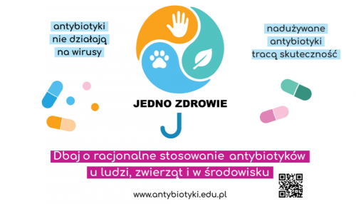Przyznano Stypendia Samorządu Województwa Świętokrzyskiego Talenty Świętokrzyskie Dla Uczniów I Studentów(4)