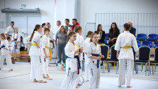 Inbound1497762024279057846