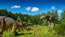 1. Jurapark Bałtowski Kompleks Turystyczny