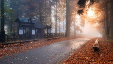 4. Szlaki Turystyczne Świętokrzyskiego Parku Narodowego