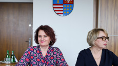 Obradowały komisje: Rolnictwa i Ochrony Środowiska oraz Zdrowia, Polityki Społecznej i Spraw Rodziny