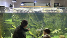 Rozstrzygnięto konkurs plastyczny 