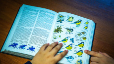 Lekcja przyrody na żywo! Akcja 