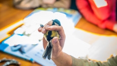 Lekcja przyrody na żywo! Akcja 