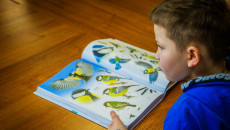 Lekcja przyrody na żywo! Akcja 