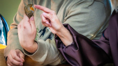 Lekcja przyrody na żywo! Akcja 