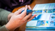 Lekcja przyrody na żywo! Akcja 