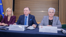 Wsparcie dla S46 i sytuacja 