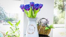 Wielkanocny Kiermasz Ekonomii Społecznej zakończony sukcesem! Dziękujemy!