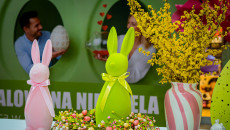 Malowana Niedziela w Kielcach