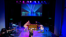 koncert Wiosna, Miłość i Bzy w WDK