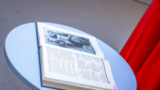 674263455 1567669555363269 6822712328749225889 N