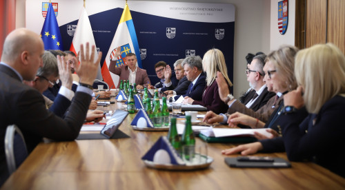 Posiedzenie Komisji Strategii Rozwoju, Promocji i Współpracy z Zagranicą