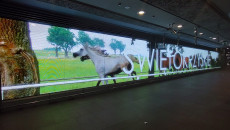 Kampania Promocyjna Województwa świętokrzyskiego W Warszawskiej Stacji Metra Świętokrzyska 3