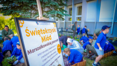 Wyjątkowa lekcja przyrody. Miododajna rabata ozdobiła otoczenie Urzędu Marszałkowskiego