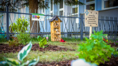 Wyjątkowa lekcja przyrody. Miododajna rabata ozdobiła otoczenie Urzędu Marszałkowskiego