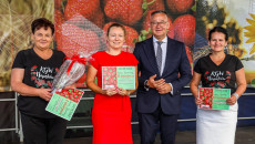 XXVII Dzień Świętokrzyskiej Truskawki w Bielinach