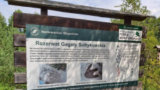 Gagaty Soltykowski Fot Arch Umws