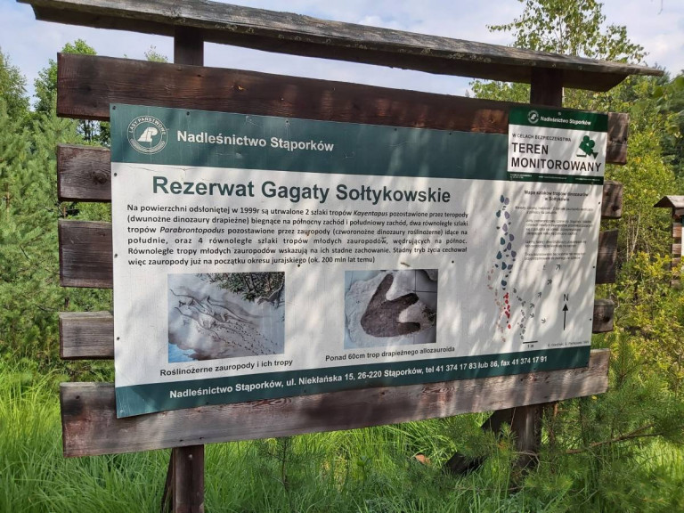 Gagaty Soltykowski Fot Arch Umws