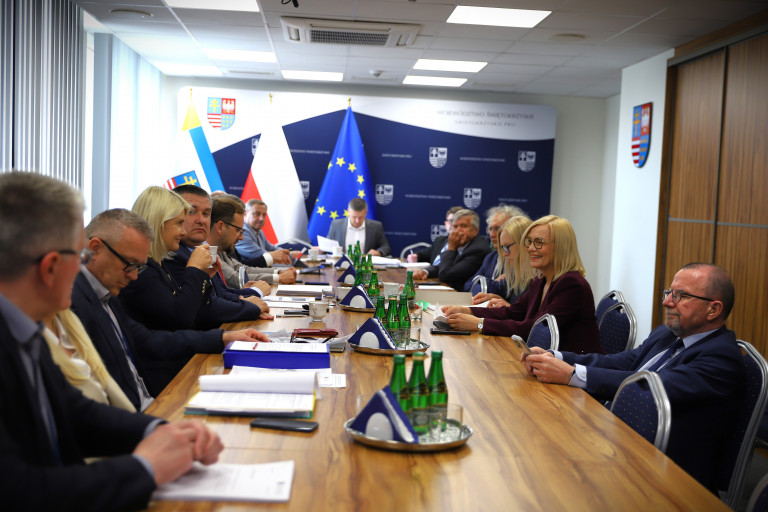 Obradowała Komisja Strategii Rozwoju, Promocji i Współpracy z Zagranicą Sejmiku