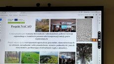 Wymieniamy dobre praktyki w pochłanianiu dwutlenka węgla z atmosfery