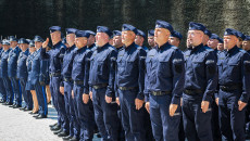 Mn2a2626