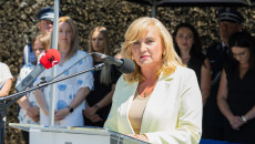 Mn2a2981